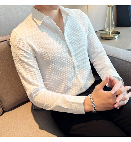 White Check Textured Regular Fit Shirt